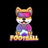 Football INU l METAVERSE&NFT