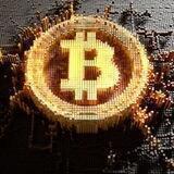 Bitcoin investment company LTD.