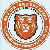 ledovaya_arena_uss