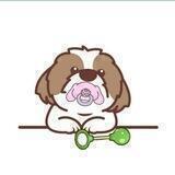 Baby Shiroji Inu