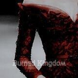 Ᏼurnᴇd Ꮶingdᴏʍ анкеты