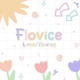 TESTI FLOVICE