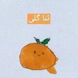 خانه خر