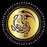 REBIRTH INVESTIMENTOS