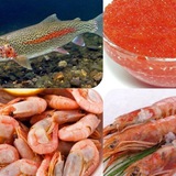 Магазин "СЕВЕР" Тольятти