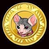 SPHYNX CAT