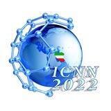 ICNN2022