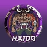 KAIDO カイドウ