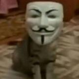 H!R4