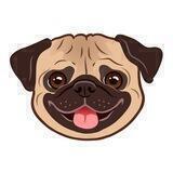 Pug Inu Official