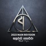 2023 Main Revision Group |AP