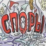 СПОРЫ