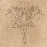 Bleauesta.
