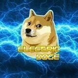 Electric Doge