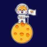 Shibanaut