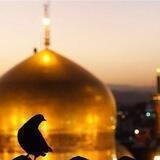 یا ضامن آهو