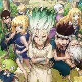 Dr Stone