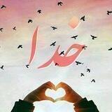 دکتر محمدرضا