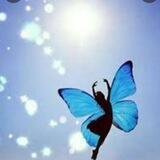 🦋پرواز را باورکن🦋