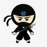 NINJA LOUNGE SHILL