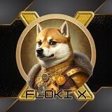 Floki X