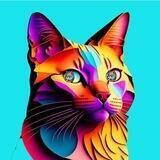 ZoomCat Official