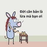 YÊU CRYPTO - GHÉT SỰ GIẢ DỐI