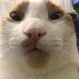 ФАРР