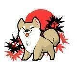 Baby Shinjiru Inu| Portal