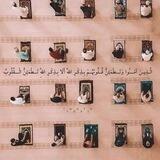 الجنة'ة تحتاج الكفاح 3🤍🌸