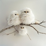 МамаПапиЯ🕊️