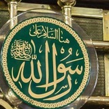 قناة || عمرو الحداد