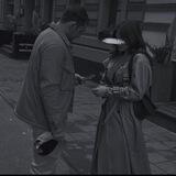 сан дог.