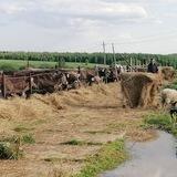 Деревенские продукты Некрасовка