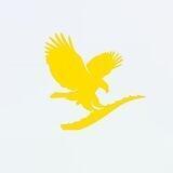 نمایندگی فوراور امریکا 🇺🇲