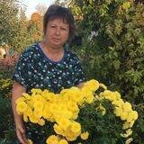 САД И ОГОРОД