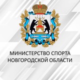 Минспорт53