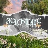 ✧ ærostore : open