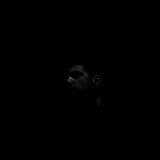 Morfi_04