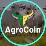 AgroCoin Oficial 🇧🇷