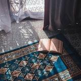 ‏﴿فَاسْتَجَابَ لَهُمْ رَبُّهُمْ﴾