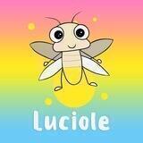 luciole_uz