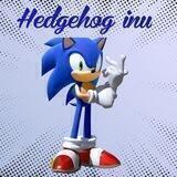 Hedgehog inu