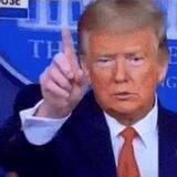 Q Patriots