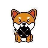 Mini Hockey Official BSC