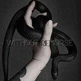 🐍Ⲱⲓⲧⲏⲟυⲧ ʀⲉⲙⲟʀⲋⲉ🐍