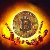 Bitcoin Prophet