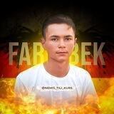 ɴᴇᴍɪs ᴛɪʟɪ, Faridbek's Blog