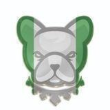 Pitbull Token Nigeria Official Chat