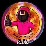 SquidGrowBurn